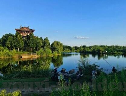 评论今晚足球比分-今夜绿茵烽火，3-1背后的战术博弈与命运转折